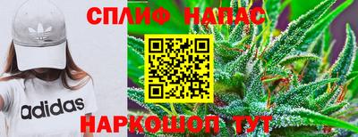 дурь Шелехов
