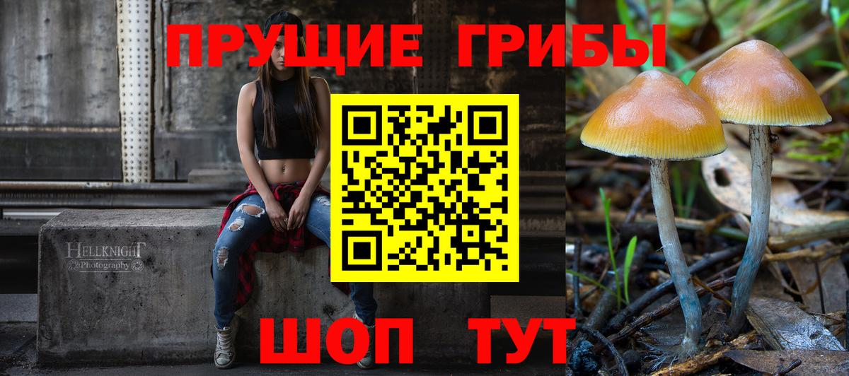 Вичуга  Псилоцибиновые грибы Psilocybine cubensis  Вход с VPN 